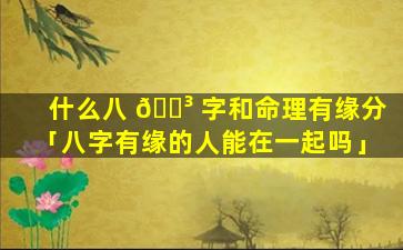 什么八 🌳 字和命理有缘分「八字有缘的人能在一起吗」